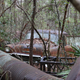 treasures ranged from the 50's to the early 80's, and condition ranged from project worthy, to mostly one with the earth